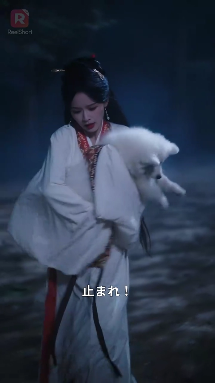 嫡女は悪を憎んで、容赦しない！写真