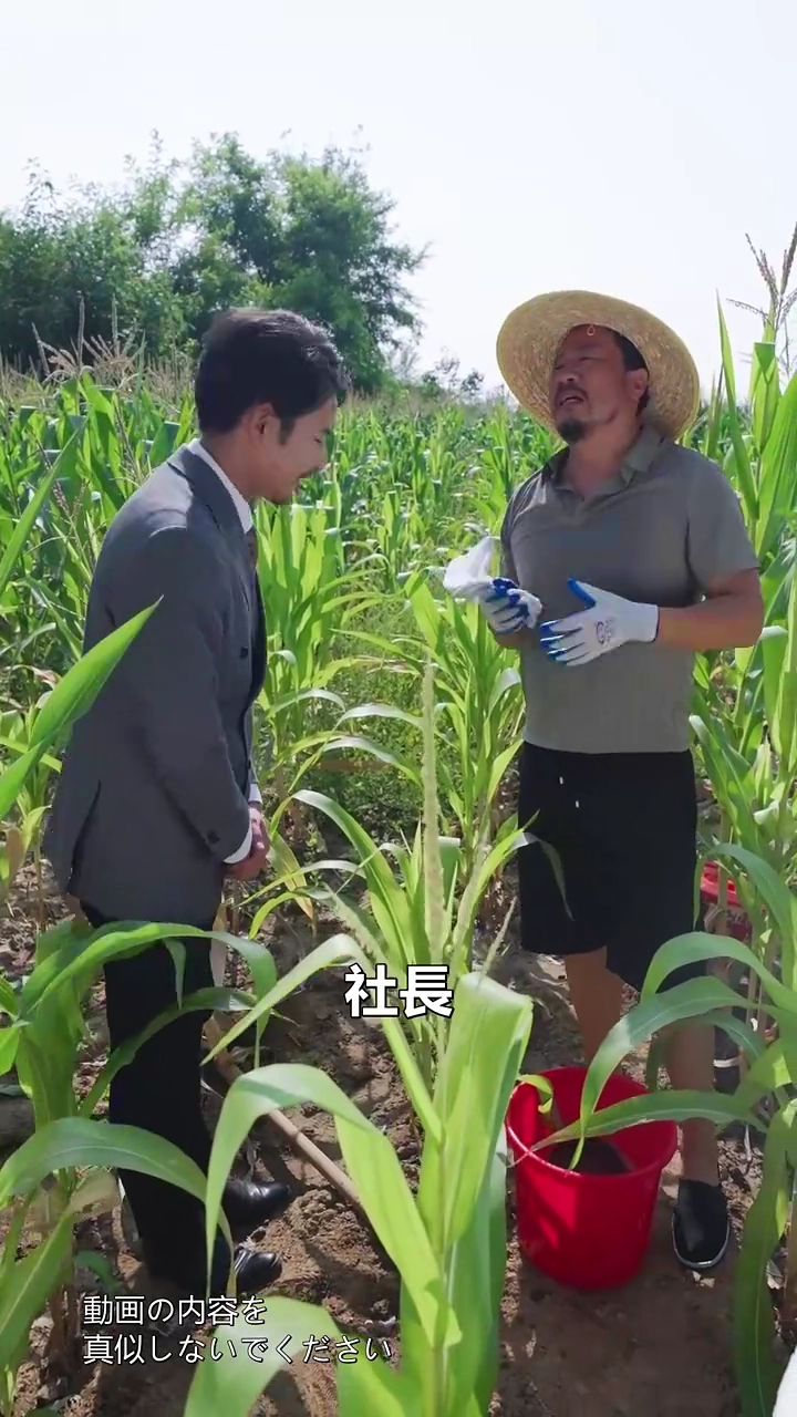 インターン生は社長令嬢写真