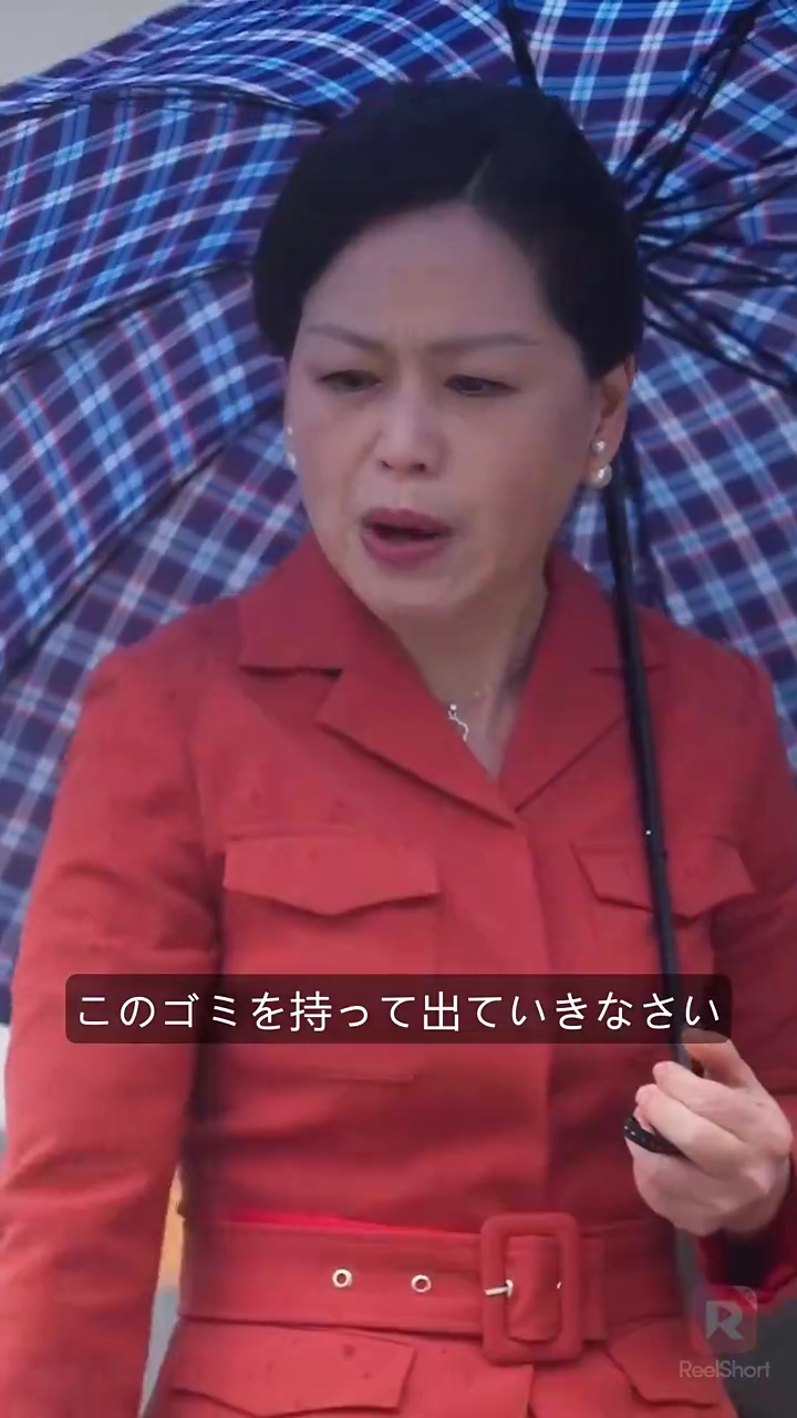 偽りの令嬢写真