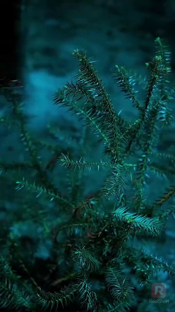 状元の悔い写真