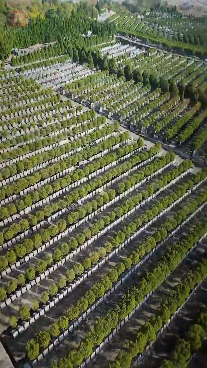 転生戦神～天帝のリベンジ物語写真