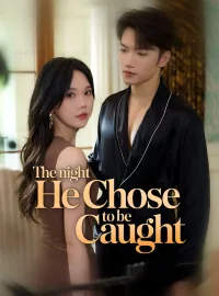 The Night He Chose to Be CaughtMini Series