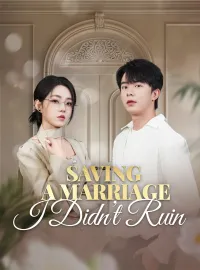 Saving a Marriage I Didn't RuinMini Series
