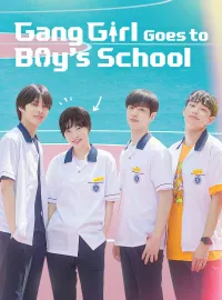 Gang Girl Goes to Boy's High SchoolMini Series