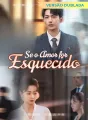 [Versão Dublada] Se o Amor for Esquecido Review