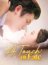 A Touch of FateMini Series