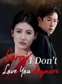 Sorry, I Don't Love You AnymoreMini Series