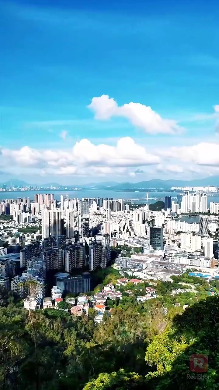 結婚に隠された復讐写真