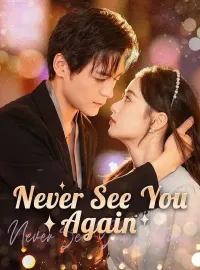 Never See You Again (DUBBED) Mini Series