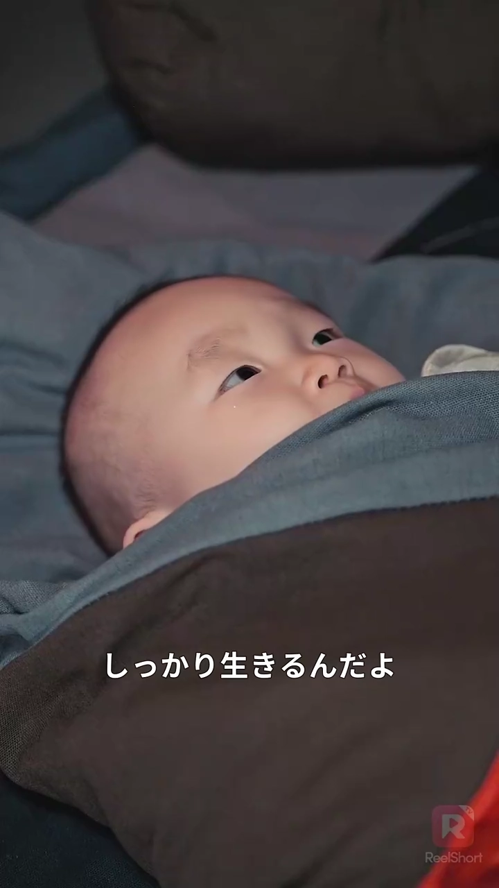 追放された令嬢、丞相に懐かれた写真