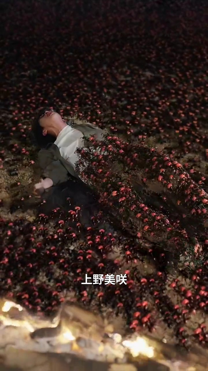 背中を押した手写真