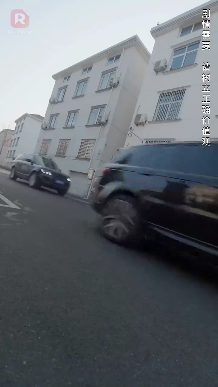 華麗なる逆襲写真