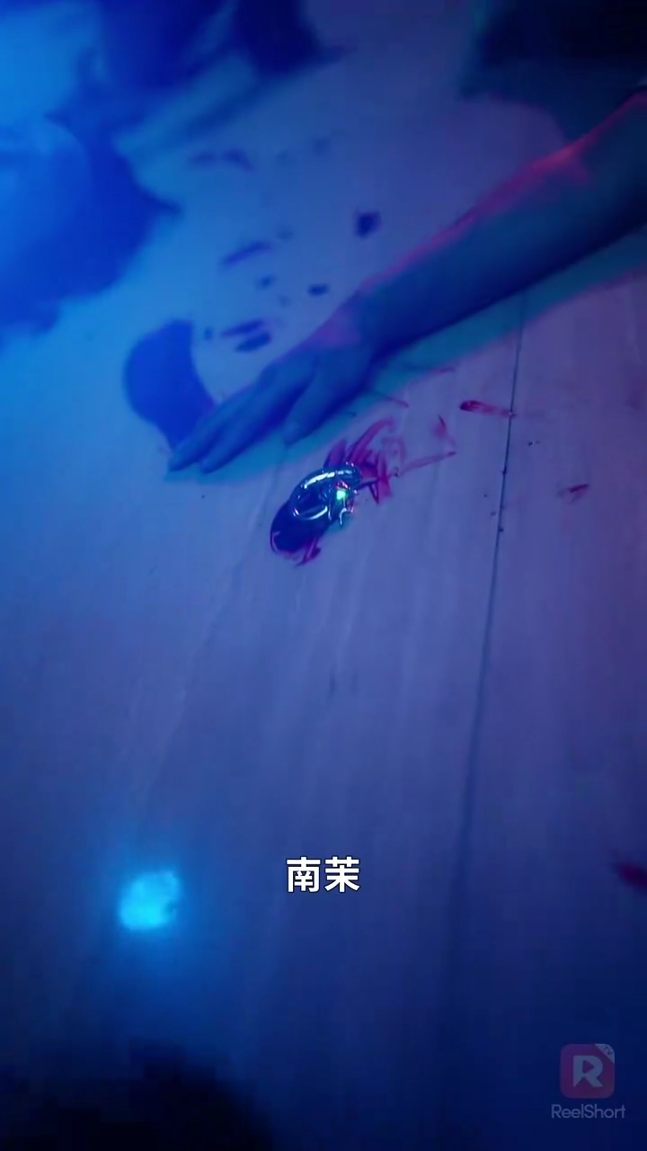 嫡女は悪を憎んで、容赦しない！写真