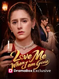 Love Me When I Am GoneMini Series