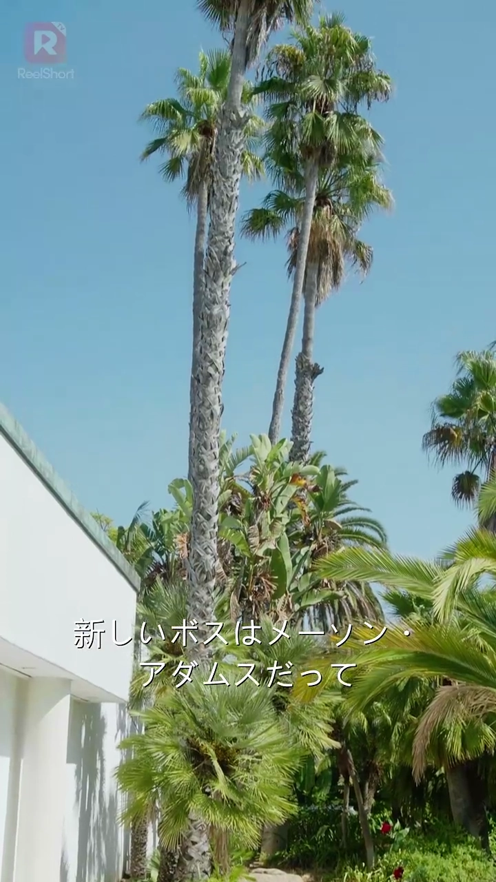 契約結婚から愛へ、再会の奇跡写真