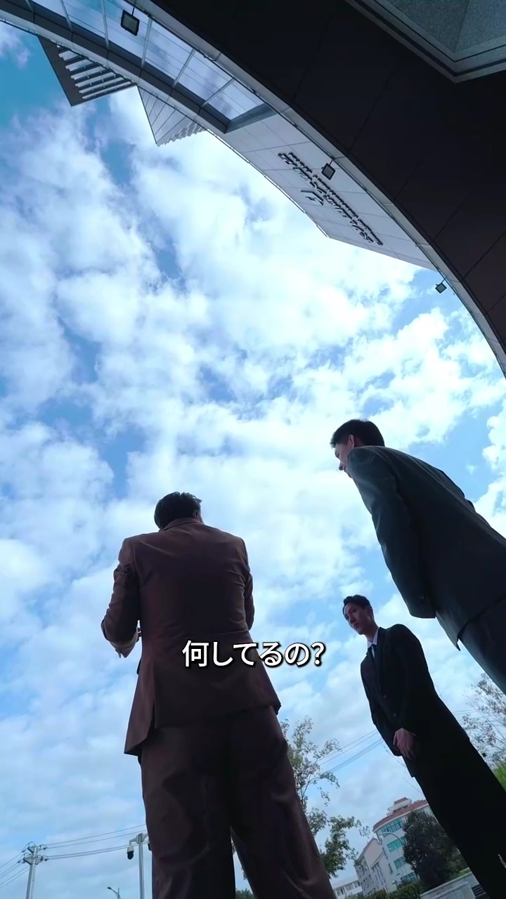 影の後継者、隠された反撃写真