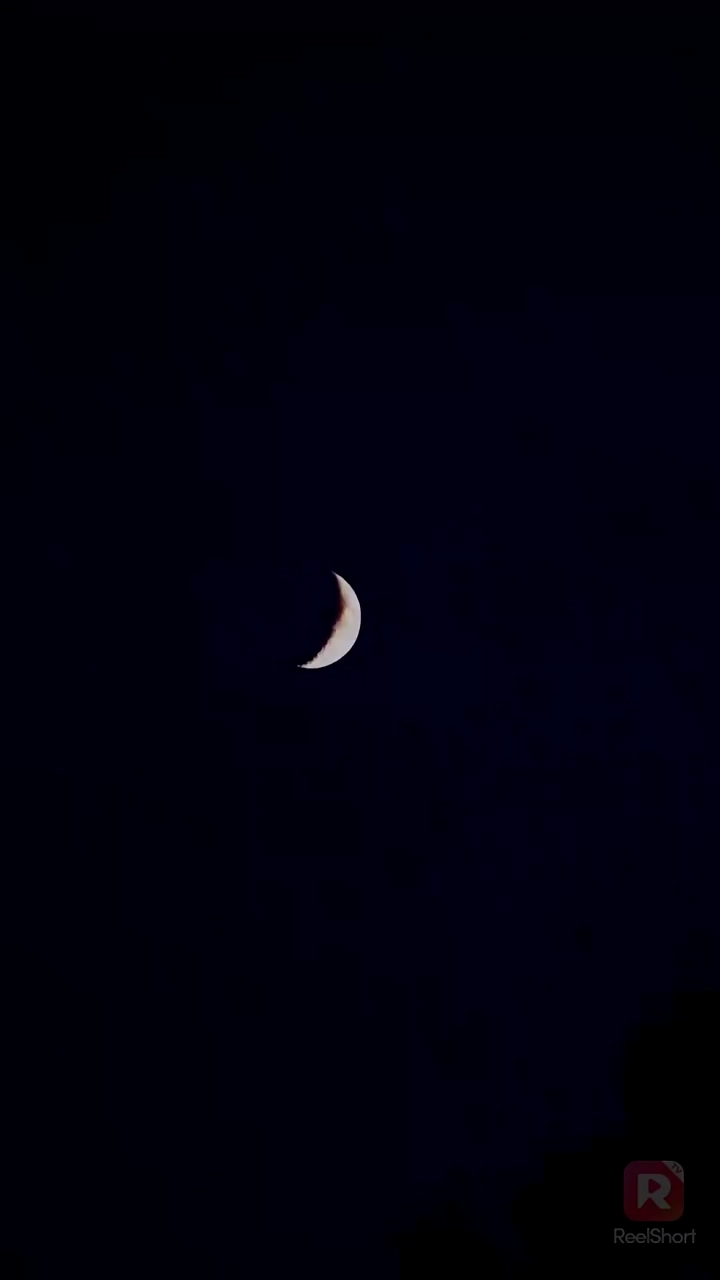 奥様は将軍夫⼈!?〜今⽇からオフィスが戦場です〜写真