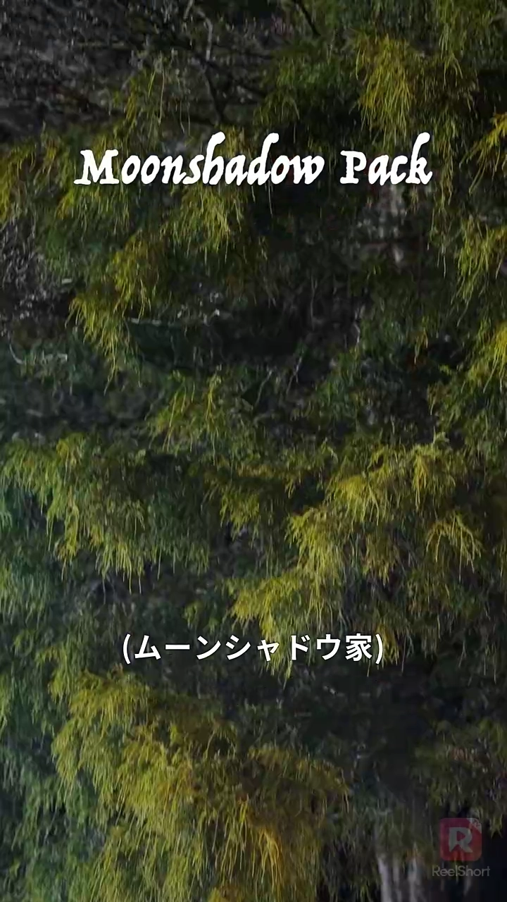 偽りの契約から真実の愛写真