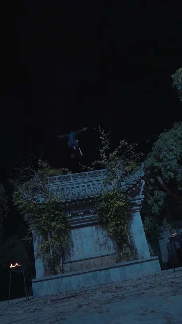 武の絆：恨みと愛写真