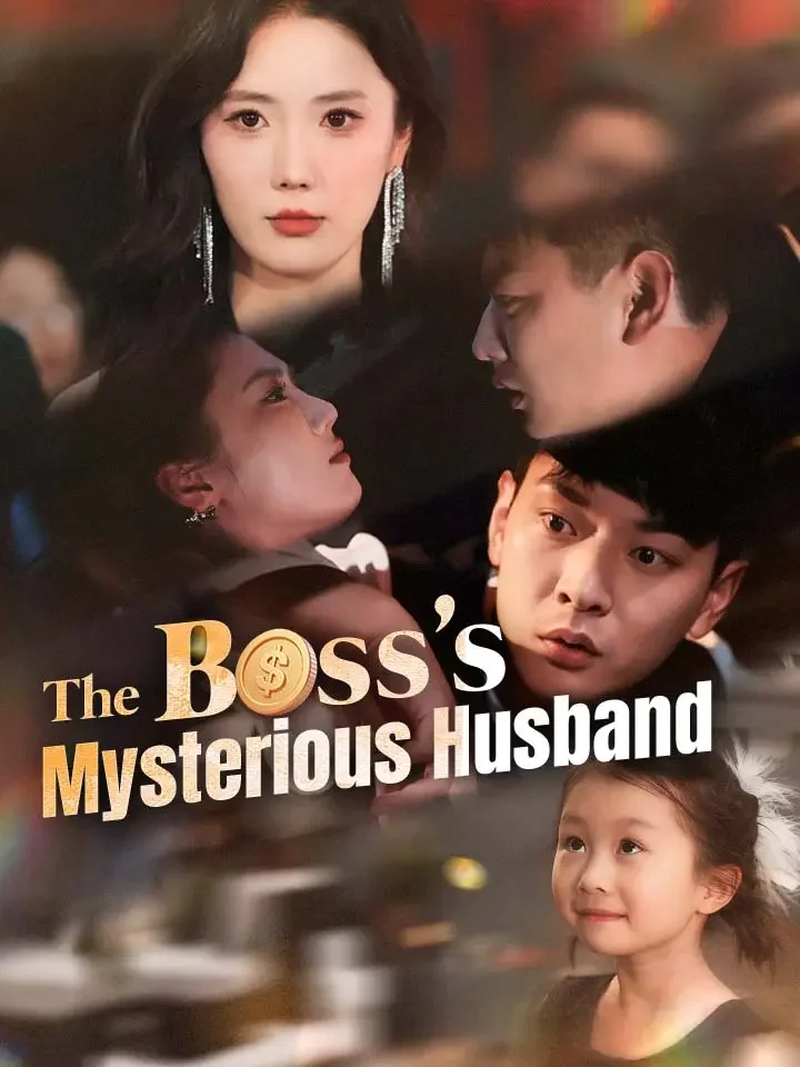 The Boss's Mysterious HusbandMini Series