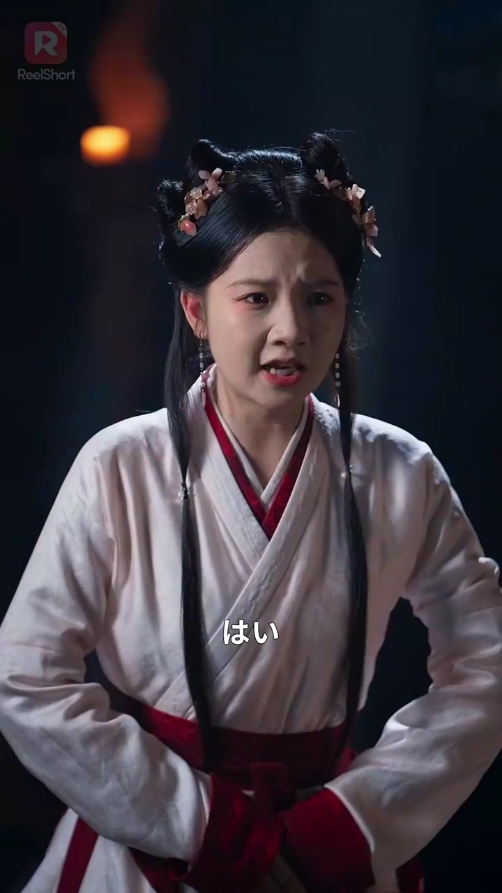 冷たい将軍と偽りの花嫁写真