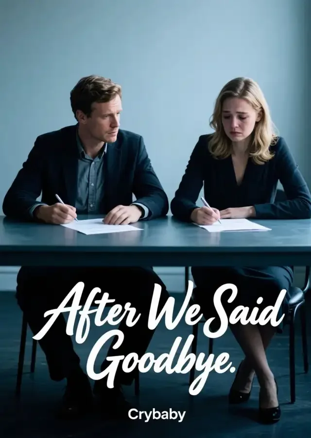 After We Said Goodbye