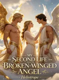 My Second Life with the Broken-Winged Angel Novel Cover