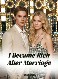 I Became Rich After Marriage Novel Cover