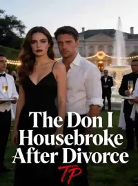 The Don I Housebroke After Divorce Novel Cover