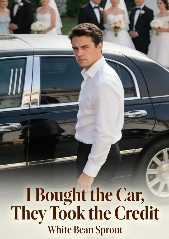 I Bought the Car, They Took the Credit Novel Cover