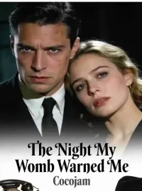 The Night My Womb Warned Me Novel Cover