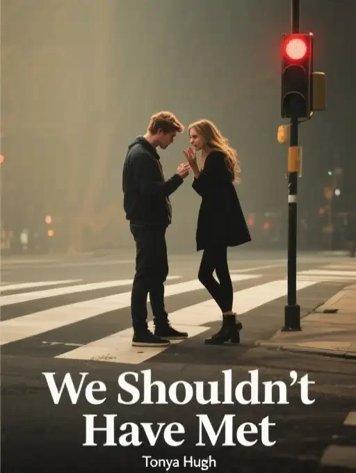 We Shouldn’t Have Met Novel Cover