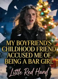 My Boyfriend's Childhood Friend Accused Me Of Being A Bar Girl Novel Cover