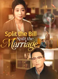 Split the Bill, Split the MarriageMini Series