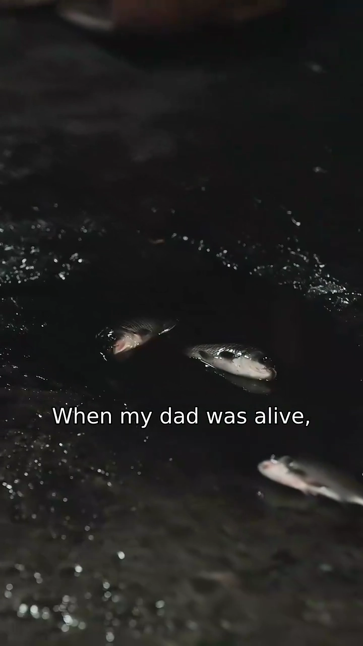 The Fox's GambitPhoto