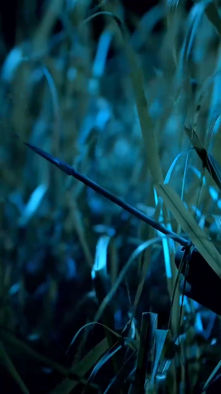 Her Final BattlePhoto