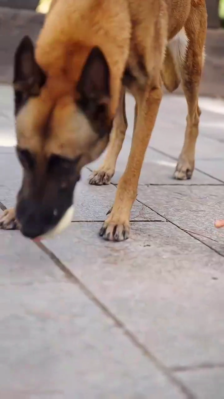 The Reborn Matriarch ArrivesPhoto