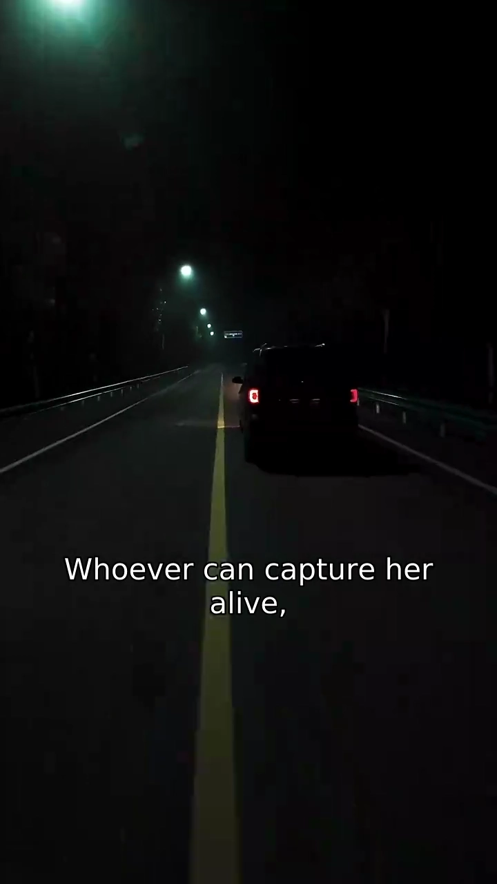 The Wife In DisguisePhoto