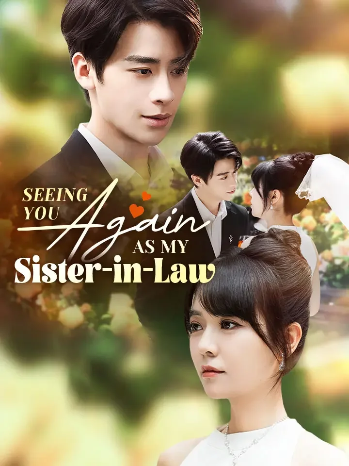 Seeing You Again as My Sister-in-LawMini Series
