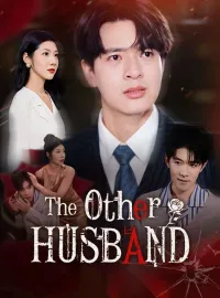 The Other HusbandMini Series