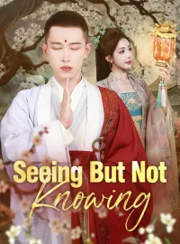 Seeing But Not KnowingMini Series