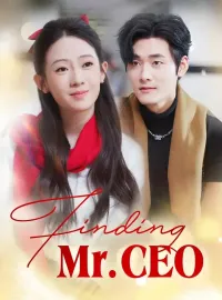Finding Mr. CEOMini Series