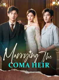 Marrying The Coma Heir