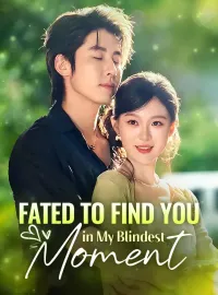 Fated to Find You in My Blindest MomentMini Series