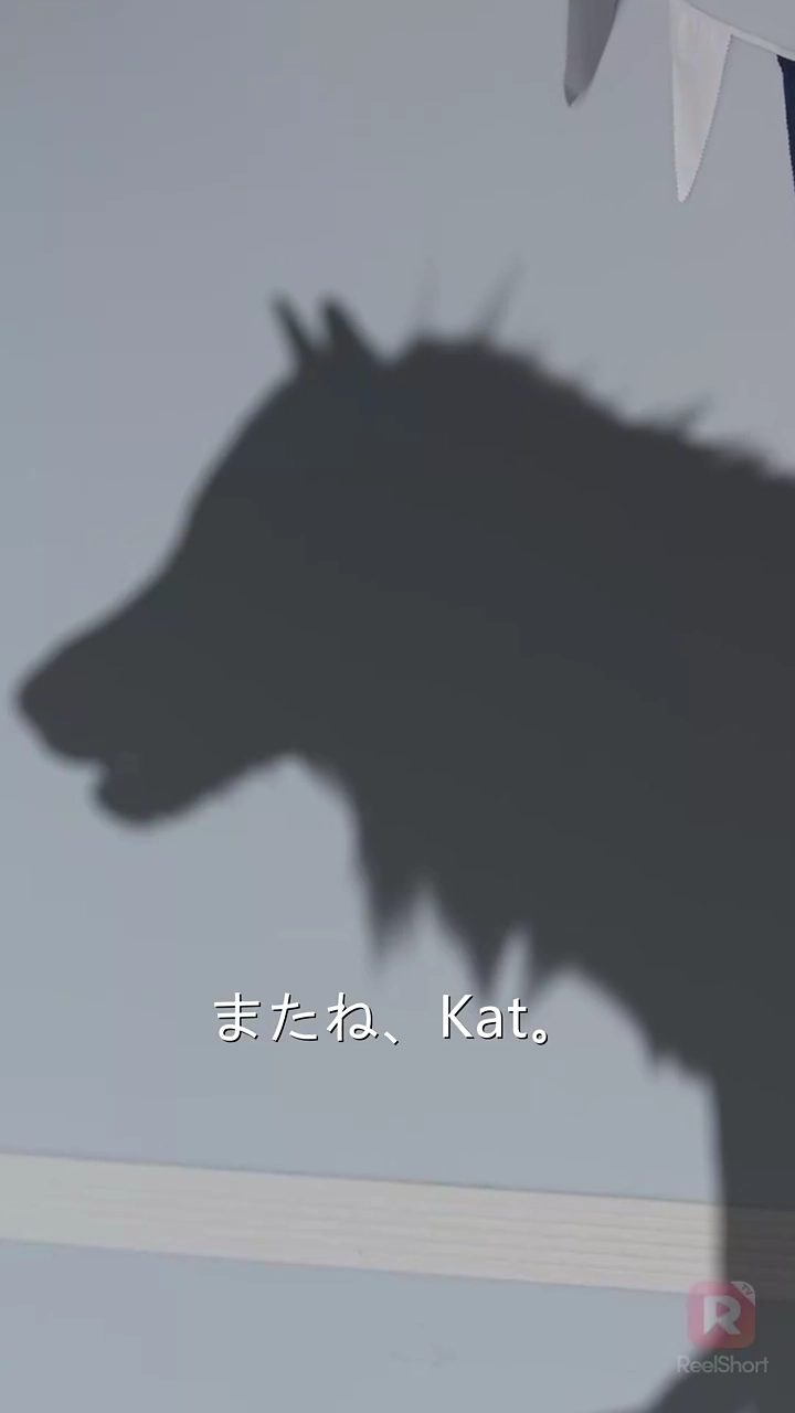 アルファの運命写真