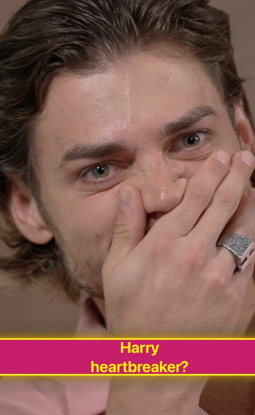 Love or Dare Season cast