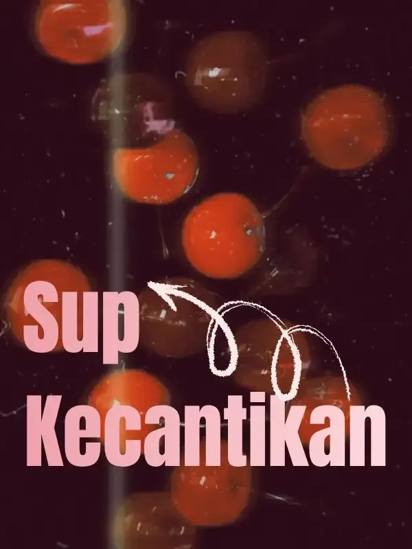Sampul Novel Sup Kecantikan