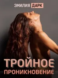 Обложка новеллы Тройное проникновение