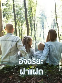 หน้าปกนวนิยาย อัจฉริยะฝาแฝด