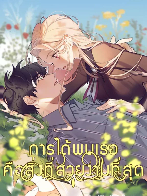 ภาพปกนิยายเรื่อง การได้พบเธอคือสิ่งที่สวยงามที่สุด